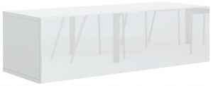 Szafka RTV wisząca 30x100x36 cm biała front połysk półka do salonu
