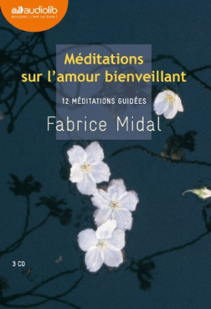 Fabrice Midal Méditations Sur L'Amour Bienveillant : 12 Méditations Guidées