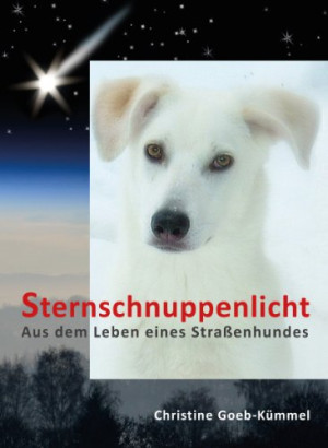 Christine Goeb-Kümmel Sternschnuppenlicht: Aus Dem Leben Eines Straßenhundes