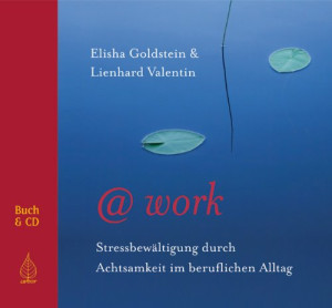 Elisha Goldstein @work: Stressbewältigung Im Beruflichen Alltag