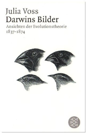 Julia Voss - GEBRAUCHT Darwins Bilder: Ansichten der Evolutionstheorie 1837-1874 - Preis vom 04.06.2026 05:43:21 h