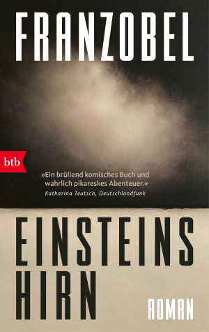 Franzobel Einsteins Hirn: Roman