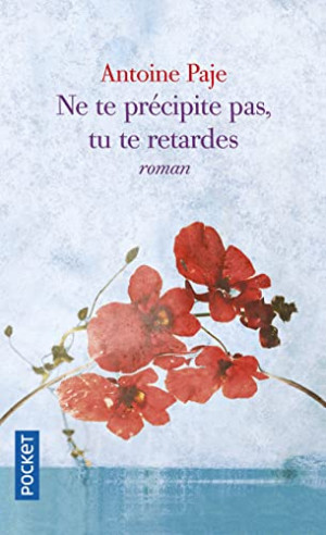 Antoine Paje - GEBRAUCHT Ne te précipite pas, tu te retardes - Preis vom 26.06.2026 19:40:26 h