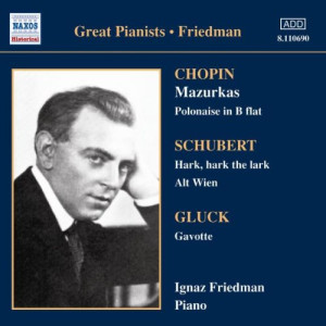 Ignaz Friedman Komplette Werke Vol. 3