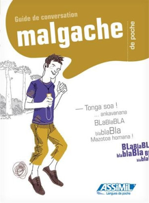 Odendahl H.V - GEBRAUCHT Le malgache de poche - Preis vom 22.06.2026 11:45:37 h