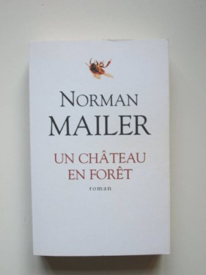 Un Chateau Dans La Foret