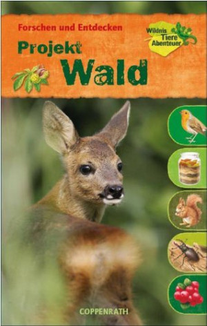 Holger Haag - GEBRAUCHT Forschen und Entdecken: Projekt Wald - Preis vom 17.06.2026 05:34:31 h