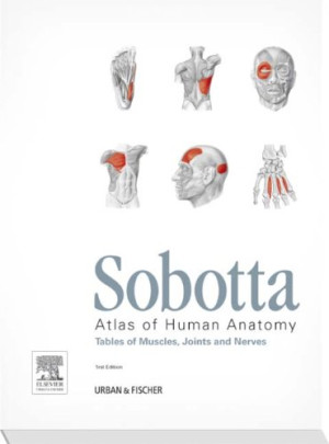 Friedrich Paulsen - GEBRAUCHT Sobotta Tables of Muscles, Joints and Nerves, English/Latin: Tables to 15th ed. of the Sobotta Atlas - Preis vom
