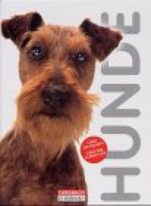 Tetsu Yamazaki - GEBRAUCHT Hunde - Preis vom 17.06.2026 05:34:31 h