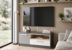 Szafka RTV Persefona 100x41x50 cm