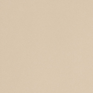 ICON ALMOND 60 60X60R11