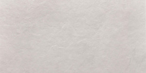 LIMONE ASH White 1197x597 płytka podłogowa 8mm ASH006