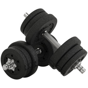 Homcom Set Manubri Palestra da 25 kg Totali con 12 Dischi Pesi e 2 Barre da 2 kg, Nero
