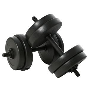 Homcom Set Manubri Palestra 19.7kg (4x2.5kg, 4x2kg), Pesi Palestra con 8 Dischi da 2kg, 2.5kg, Õ“25mm, per Allenamento a Casa Aosom