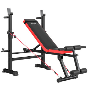 Sportnow Panca Fitness con Rack per Pesi, Schienale e Sedile Regolabili, Dip Station, Capacità 420 kg   Aosom Italy
