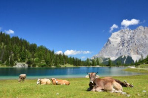 Fototapete Andere tirol, Bergsee