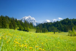 Fototapete Andere Sommer, Wanderung, Urlaub, Schnee, Frühling