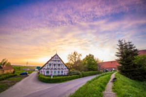 Fototapete Apfelbaum, Böschung, Deutsch, Ausflug, Himmel