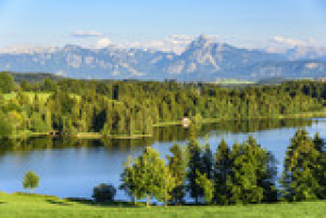 Fototapete Natur, Sommer, Wasser, lächelnd, Wald