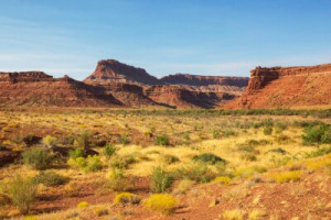 Fototapete Andere erstaunlich, Amerika, genial, Hintergrund, schön
