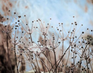 Fototapete Andere Textur, Hintergrund, abstrakt, Design, Natur