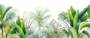 Fototapete palm, Blatt, Banane, nahtlose, Sommer