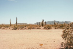 Fototapete Andere arizona, die, Wüste, phoenix, Umwelt