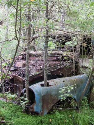 Fototapete Andere Natur, Wald, Baum, Schrottplatz, Oldtimer