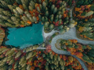 Fototapete Herbst, Wald, Herbstwald, fallen, Farben