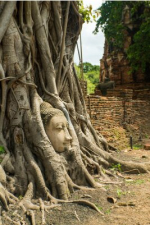 Fototapete Andere ayuthaya, siam, Buddha, Leiter, Stein