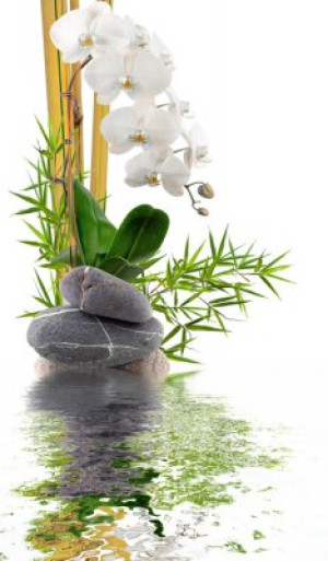 Fototapete Andere Bambus, Orchidee, Kiesel, Wasserstelle, zen