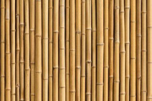 Fototapete Andere gelb, traditionellen, Holz, Textur, Hintergrund