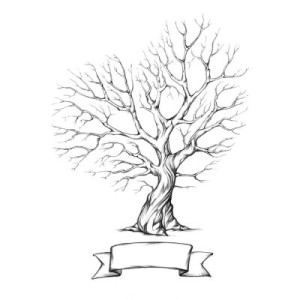 Fototapete Andere banner, Design, Natur, Illustration, Zweig