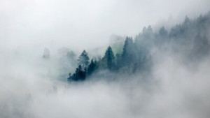 Fototapete Andere Stimmung, Wald, Berg, sad, Morgen