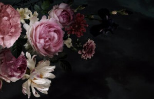 Fototapete Pfingstrosen Blume, vintage, Pfingstrose, stieg, Blumengesc