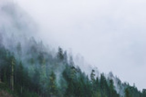 Fototapete Andere Holz, Hintergrund, Natur, im Freien, Stimmung