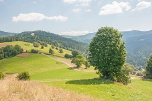 Fototapete Andere Sommer, Pfad, Berg, Cloud, polen