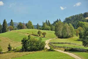 Fototapete Andere Sommer, Wald, Pfad, Feld, Berg