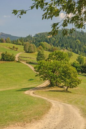 Fototapete Andere Sommer, Pfad, vertikalen, Berg, polen