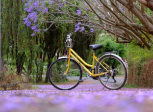 Fototapete Andere Ast, allein, Blüte, blühen, grün