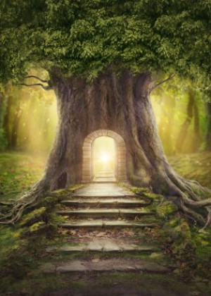 Fototapete Andere Baum, Wald, Magie, Eingang, träumen