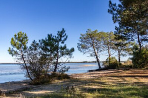 Fototapete Andere Heide, Aquitaine, Frankreich, Strand, Schatten