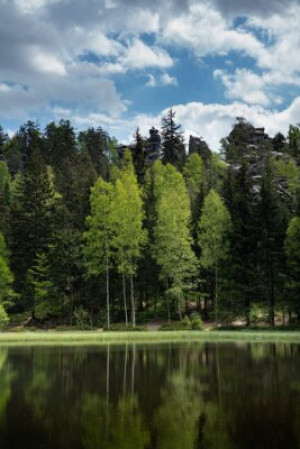 Fototapete Andere Kiefer, Fichte, Land, Landschaft, tour tourismus