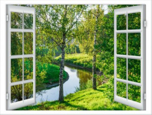 Fototapete ansehen, Hintergrund, rustikal, Natur, flora