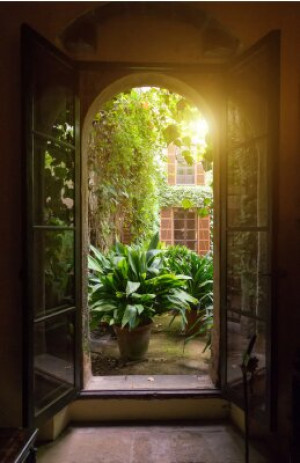 Fototapete ansehen, Design, alt, Wand, Natur