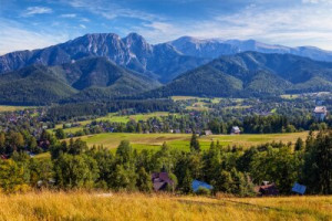 Fototapete Andere groß, ansehen, Natur, Sommer, grün