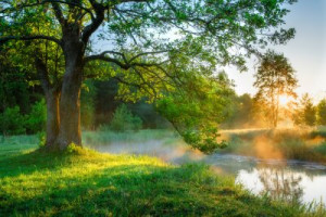 Fototapete Andere Sommer, Natur, Landschaft, Hintergrund, schön
