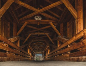 Fototapete Alter, Gebäude, Innenraum, Wald, Architektur