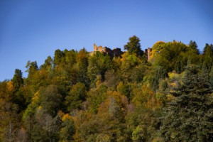 Fototapete Andere Herbst, Himmel, Wald, Natur, Landschaft