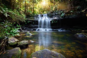 Fototapete Wasserfall Wasserfall, Wasserloch, abgelegen, fern, Baum